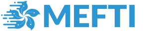 MIT Entrepreneurship and FinTech Integrator (MEFTI) logo